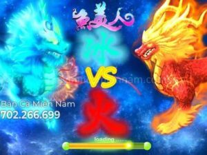 may-ban-ca-bang-hoa-lan