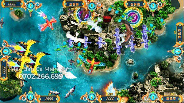 may-ban-ca-ban-chim_anh