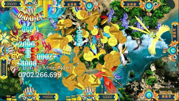 may-ban-ca-ban-chim_anh