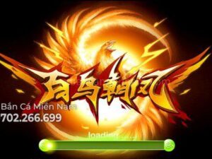 may-ban-ca-ban-chim_anh