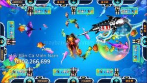 may-ban-ca-my-nhan-dai-long-vs-ho