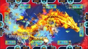may-ban-ca-my-nhan-dai-long-vs-ho