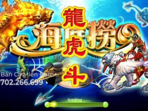 may-ban-ca-my-nhan-dai-long-vs-ho