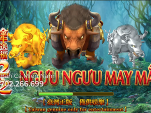 NGƯU NGƯU MAY MẮN