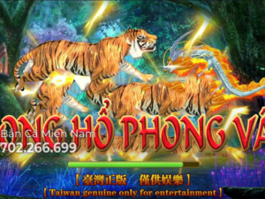 LONG HỔ PHONG VÂN