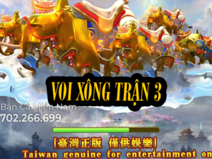 VOI XÔNG TRẬN 3