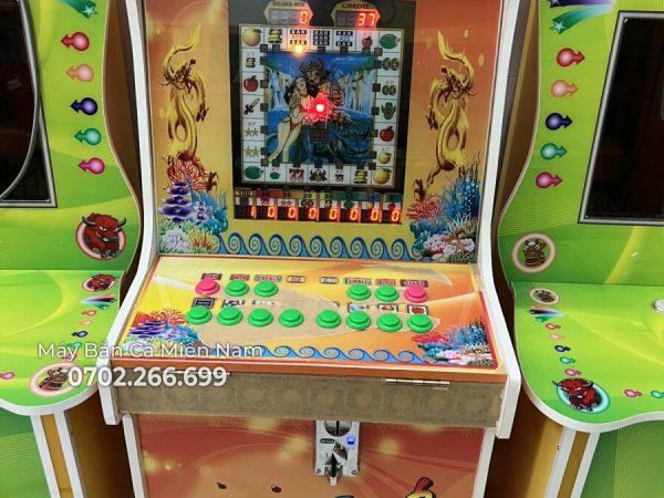 MÁY ĐẶT TRÁI CÂY