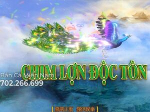 CHIM LỢN ĐỘC TÔN