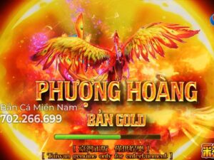 PHƯỢNG HOÀNG BẢN GOLD