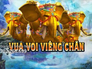 VUA VOI VIÊNG CHĂN